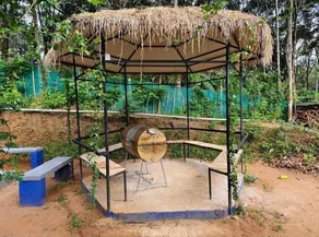 Loquat Inn Homestay - Camera