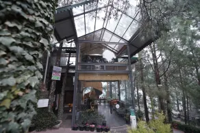 Kasauli Hills Resort - Reception