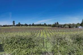 'red Barn Guest Cottage' Wine Country Escape - Interiør