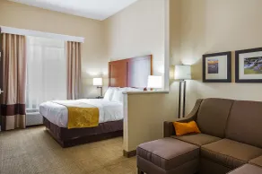 Comfort Suites Twinsburg - Chambre