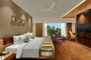 The Fern Residency Udaipur, Series by Marriott - Room