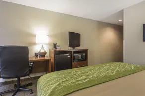 Quality Inn Summerville - Charleston - Chambre