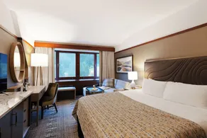 Alyeska Resort - Rum