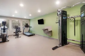 WoodSpring Suites Tampa Airport North Veterans Expressway - Salle de remise en forme