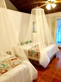 Ecovergel Hotel Riviera Maya - Chambre