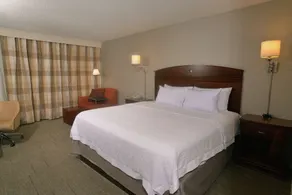 Hampton Inn Springfield-South - Zimmer