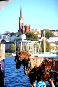Hotel am Fjord - Piscine