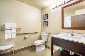 Comfort Inn & Suites Fairborn near Wright Patterson AFB - Chambre