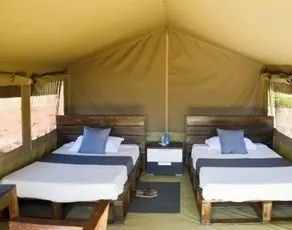 Royal Doves Garden Lake Baringo - Room