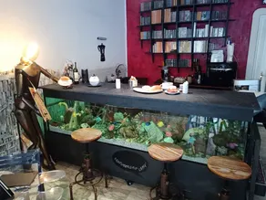 COSTUMBRISMO CAFFE' - Restaurant