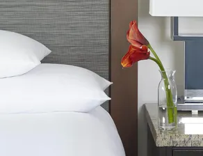 Hyatt Regency Atlanta - Chambre