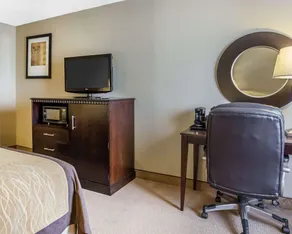 Comfort Inn & Suites near Tinley Park Amphitheater - Salle de bain