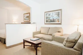 Ann Arbor Regent Hotel and Suites - Vue de la chambre