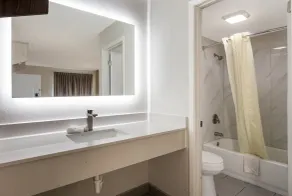 Econo Lodge Mobile Airport Blvd. - Salle de bain