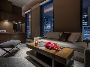 Hotel The Celestine Ginza - Camera