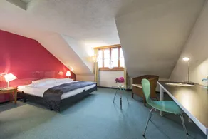 See- und Seminarhotel FloraAlpina Vitznau - Room