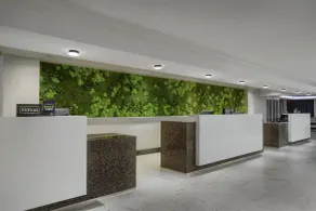 DoubleTree by Hilton at the Entrance to Universal Orlando - Reception