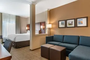Comfort Suites Camp Hill-Harrisburg West - Room