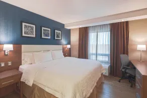 Hampton Inn by Hilton Monterrey/Galerías-Obispado - Chambre