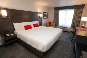University Guest House and Conference Center - Chambre