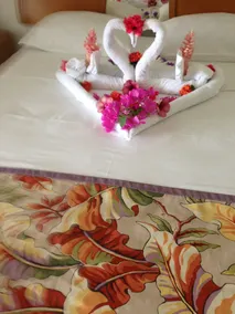 Palm View Guesthouse and Conference Centre - Room
