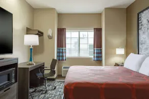Super 8 by Wyndham San Antonio Airport North - Room