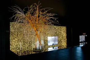 Evidencia Belverde Hotel - Réception