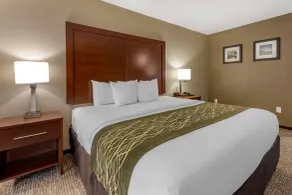 Comfort Inn & Suites Pittsburgh South - Chambre