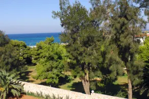 Palmyra Beach Hotel - Vue de la chambre