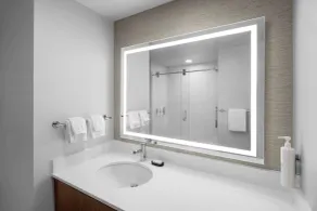 Embassy Suites by Hilton Madison Downtown - Salle de bain