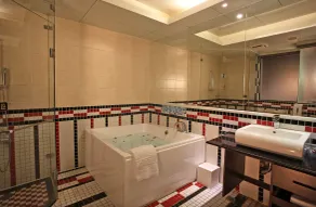 CHATEAU MOTEL (Crystal Code Museum) - Bathroom