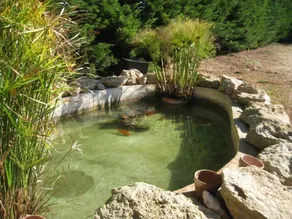 L'Araucaria turismo rurale - Pool