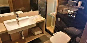 Novotel Chandigarh Tribune Chowk - Badeværelse