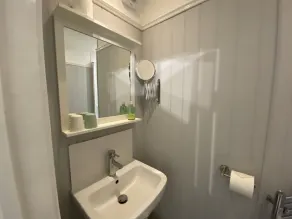 Petherton Cottage Studios  - Baño