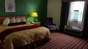 Royal Inn - Habitación