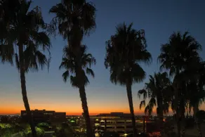 Courtyard by Marriott Cypress Anaheim / Orange County - Chambre