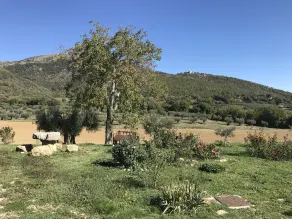 Borgo Colognola - Dimora Storica - Ausblick vom Zimmer