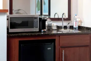 Hyatt Place Tampa Busch Gardens - Chambre