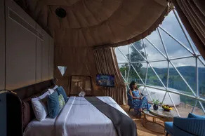 Monticle Glamps - Room