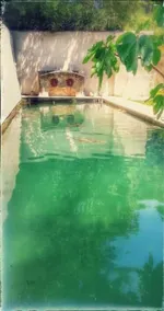 La Royante - Pool