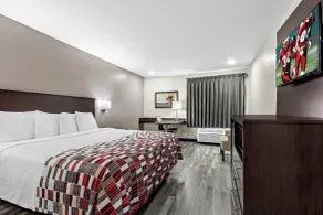 Red Roof Inn Phoenix North - I-17 at Bell Rd - Chambre