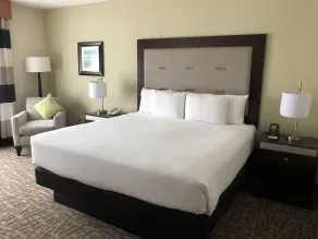 Wyndham Garden Buffalo Downtown - Chambre