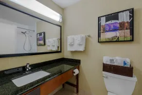 Best Western Plus Wooster Hotel & Conference Center - Salle de bain