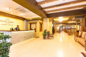 Hotel Mala Pokhara - Reception