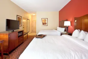 Hampton Inn & Suites El Paso-Airport - Chambre
