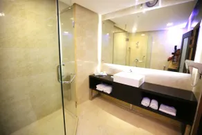 Blossom Hotel Dhaka - Room