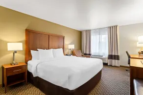 Comfort Inn & Suites Midtown - Rum