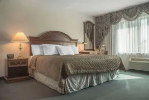 Rodeway Inn Fallsview - Chambre