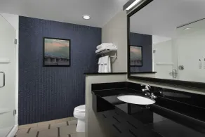 Fairfield Inn & Suites by Marriott Fayetteville North - Salle de bain
