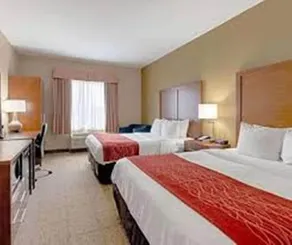 Comfort Inn & Suites Fredericksburg - Chambre